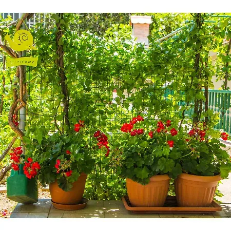 Cozy And Apartamento