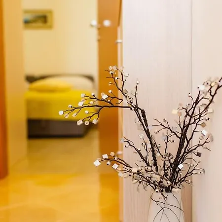 Apartamento Cozy And Split