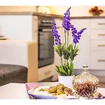 Cozy And Apartamento