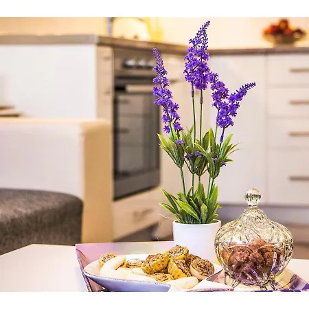 Cozy And Appartement