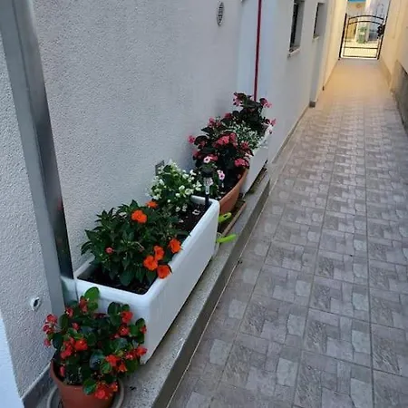 Cozy And Apartment