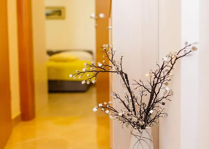 Apartment Cozy And Split