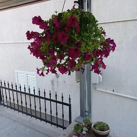 Cozy And Lejlighed Split