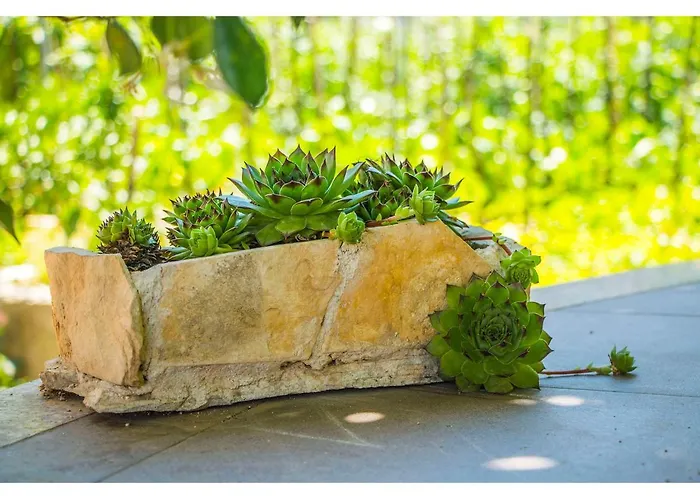 Cozy And Apartment Split